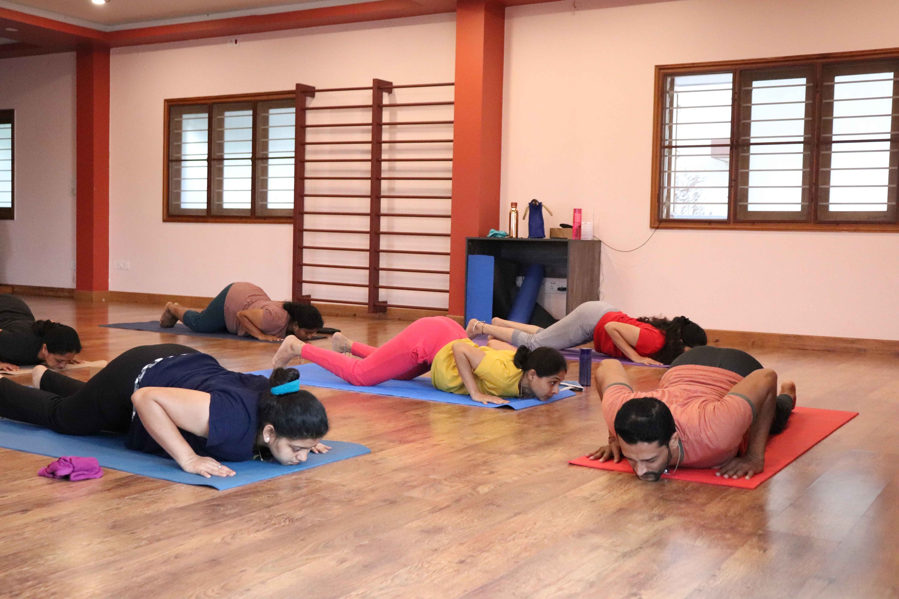 Hatha Yoga  Hatha Yoga Classes & Training, Mysore, India